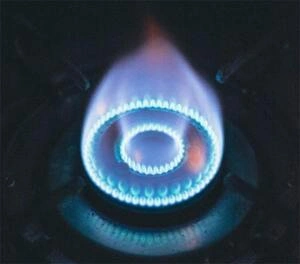 Biogas Production