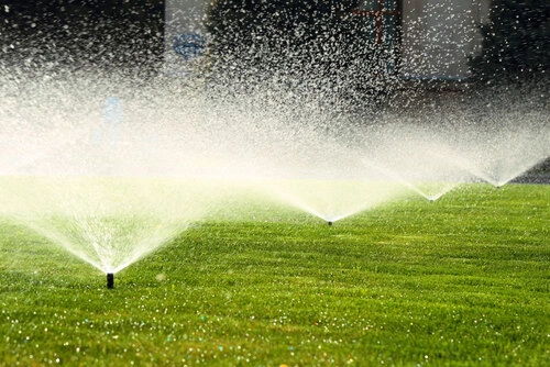 Effluent Management